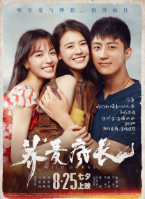欧美女人与狗